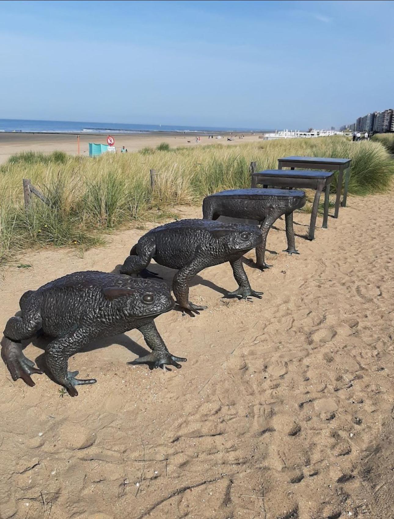 West-End Beach Middelkerke Luaran gambar