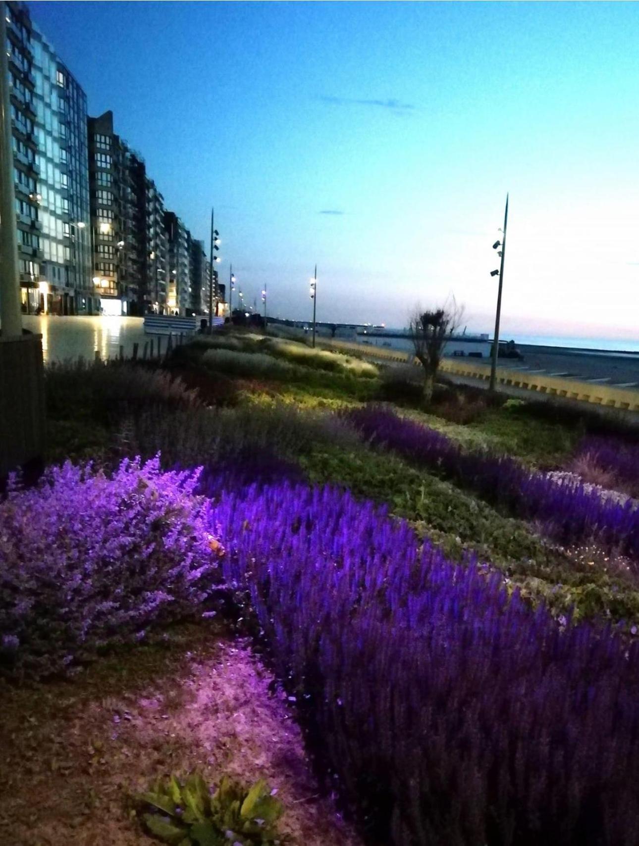West-End Beach Middelkerke Luaran gambar